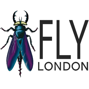 Fly London Boots, Shoes & Sandals
